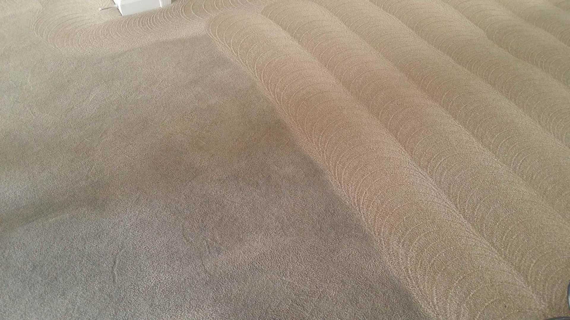 Carpet cleaning before and after with our deluxe package.